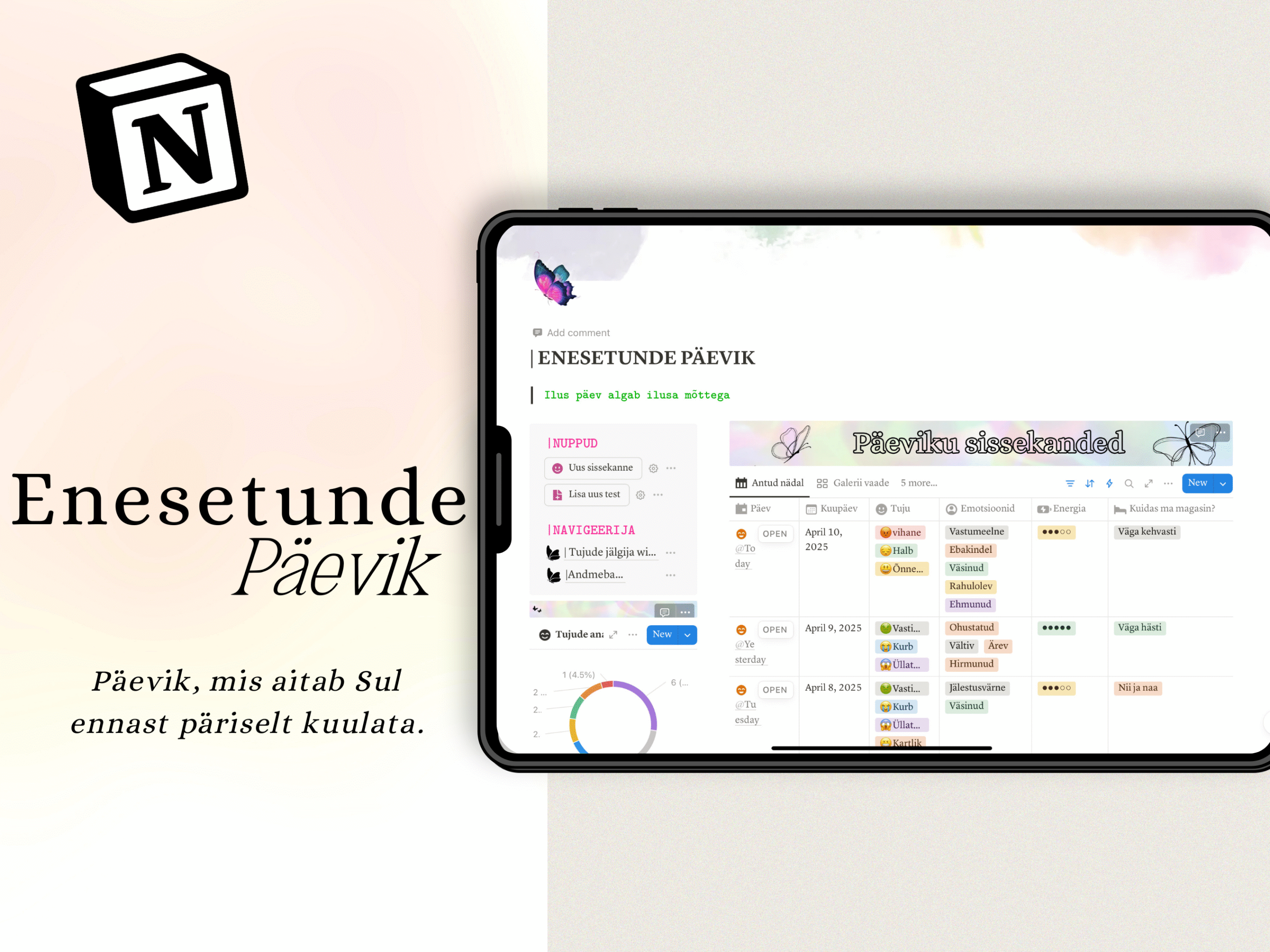 ENESETUNDE PÄEVIK NOTIONIS